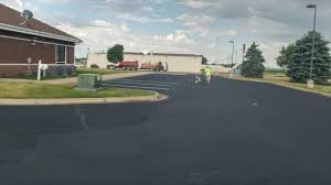 Best Driveway Pressure Washing  in Fredonia, NY